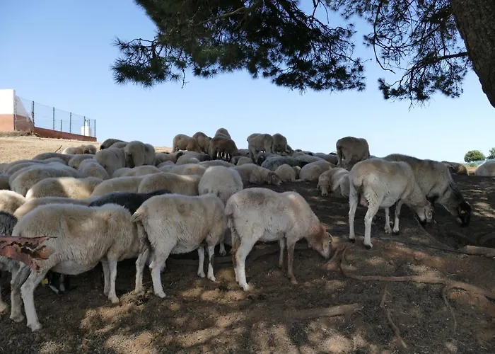 Venkovský dům Casa De Abuela Petra Gáldar
