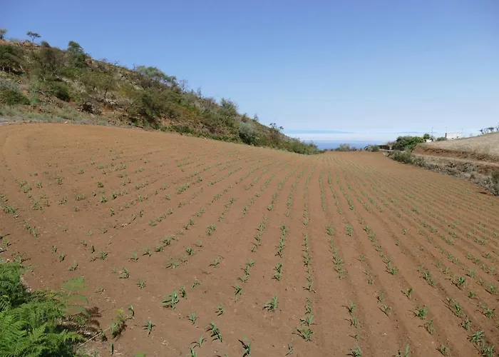 Venkovský dům Casa De Abuela Petra *